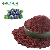 Muzlatib quritilgan Blueberry kukuni ommaviy