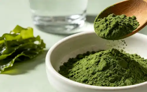 pure chlorella powder pure chlorella powder
